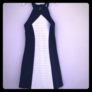 Sally Miller Couture Navy and White Dress